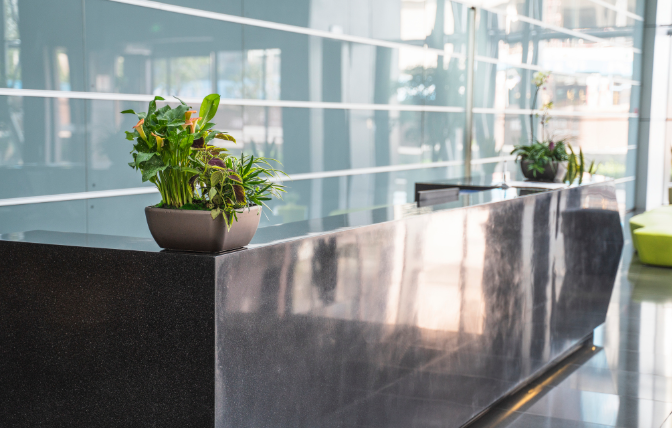 上海辦公室裝修前臺(tái)如何擺放綠植 上海辦公室裝修前臺(tái)如何擺放綠植