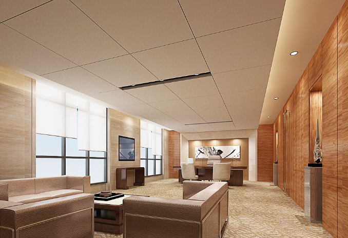 上海辦公室裝修設(shè)計(jì)：平安樹挑選全攻略，打造綠色辦公新體驗(yàn)！